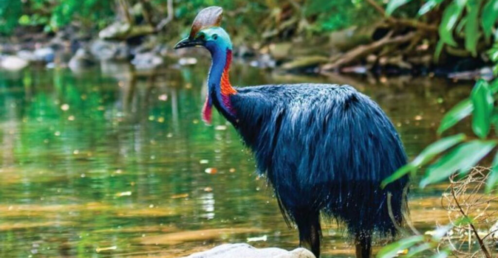 The World’s Greatest Rainforest Is a Wild Green Paradise of Turquoise Waters, Life, and Coral Reefs