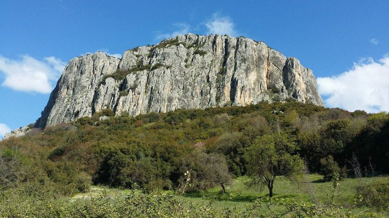 The location was a survival 'sweet spot'