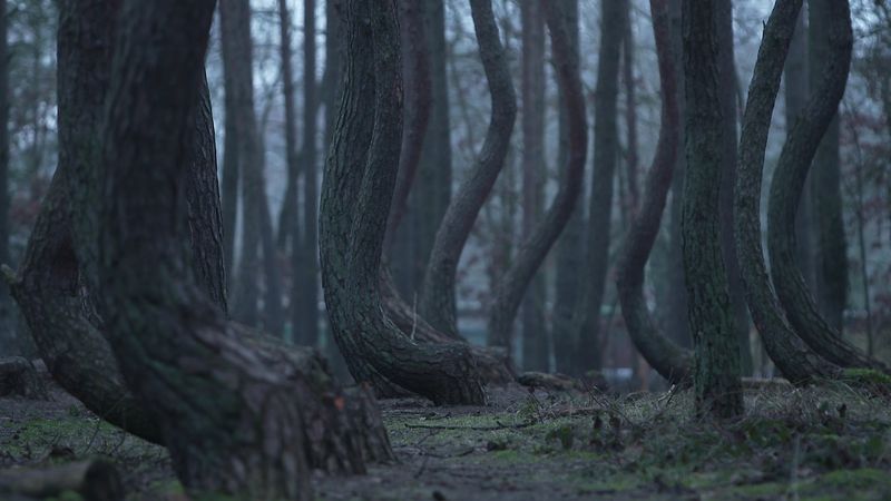 There's also an alternative timeline and it changes the story