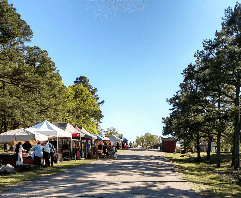 Interactive Workshops and Family Activities