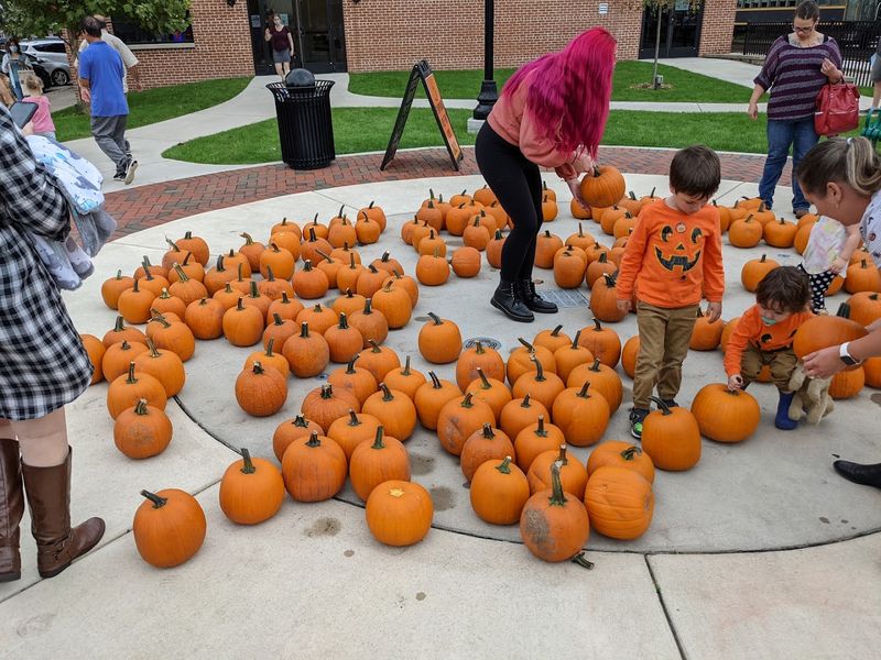 The Famous Pumpkin Train Experience