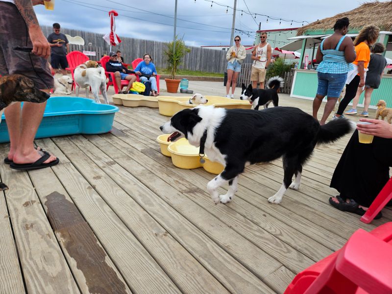Wonder Bar (Asbury Park) - Happy hour but make it yappy