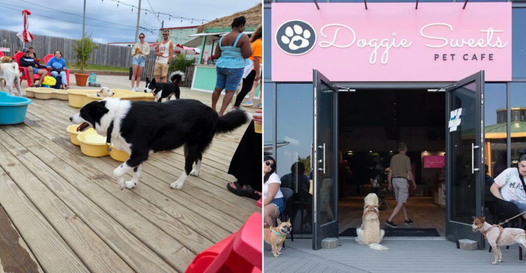 These 15 Dog-Friendly New Jersey Restaurants Treat Your Pup Like a VIP