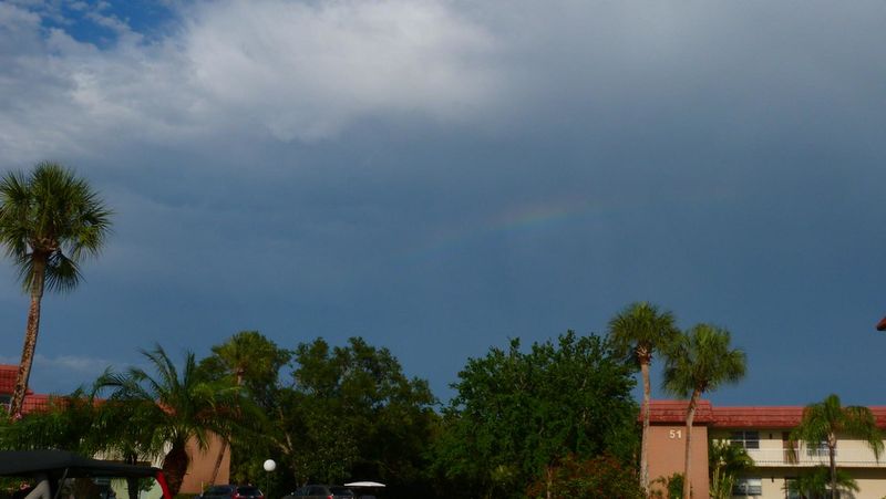 They've Driven Through a 10-Minute Downpour That Came Out of Nowhere