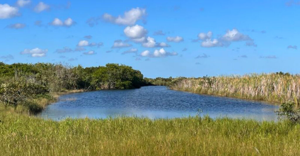 This 15-Mile Bike Trail in Florida Offers a Front-Row View of the Everglades