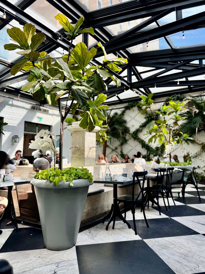 The Sunlit Conservatory