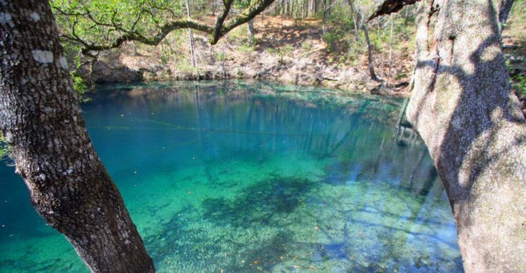 This 3.6-Mile Florida Trail Takes You Past Sinkholes and Hidden Caves