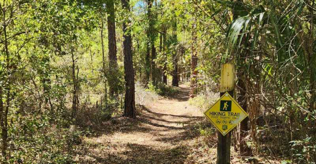 This 4-Mile Florida Hike Looks Nothing Like the Sunshine State