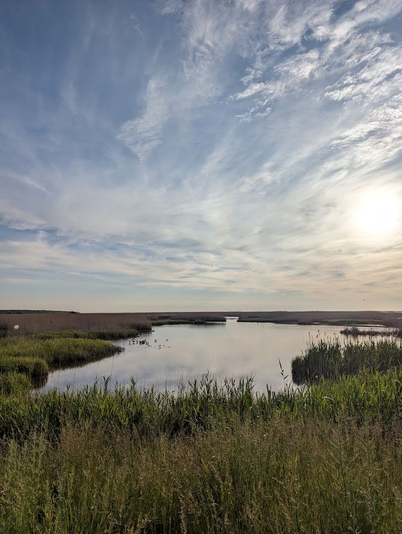 Where to Find This Wildlife Refuge