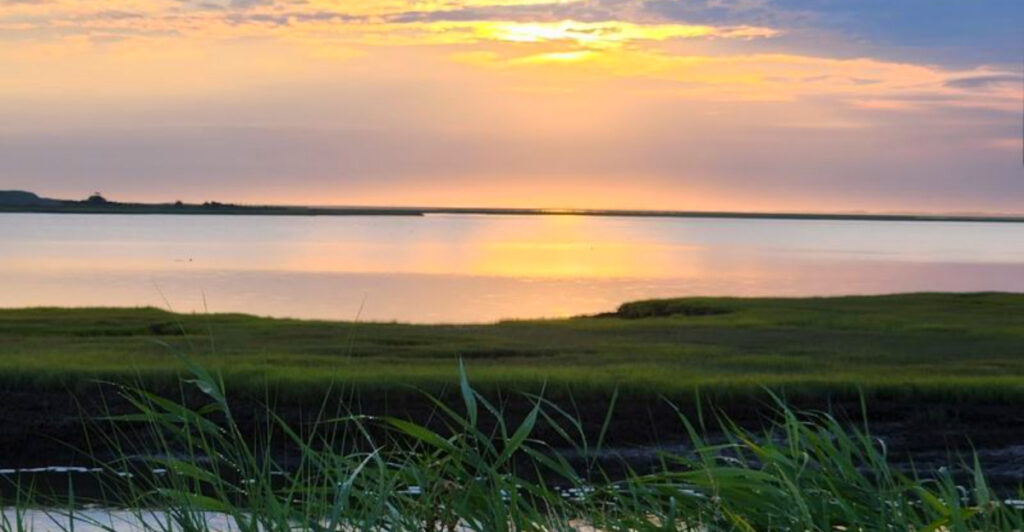 This 50-Mile Wildlife Refuge in Galloway Is a Birdwatcher’s Hidden Paradise
