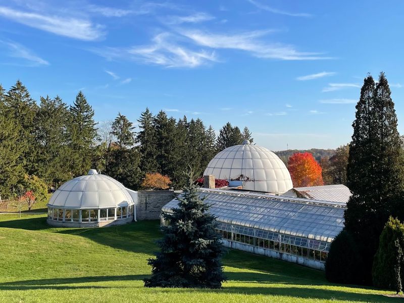 Where to Find This Botanical Treasure