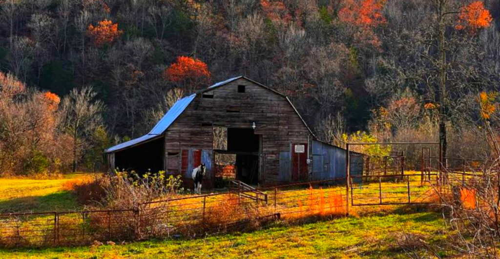 This Arkansas Town Is Built Around Nature – And It Shows