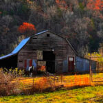 This Arkansas Town Is Built Around Nature – And It Shows
