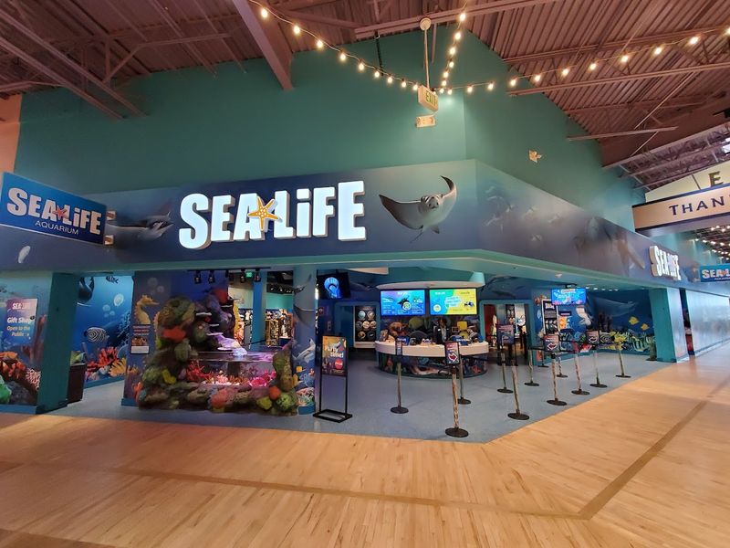 Finding the Place: Address, Location, and What to Expect at the Door