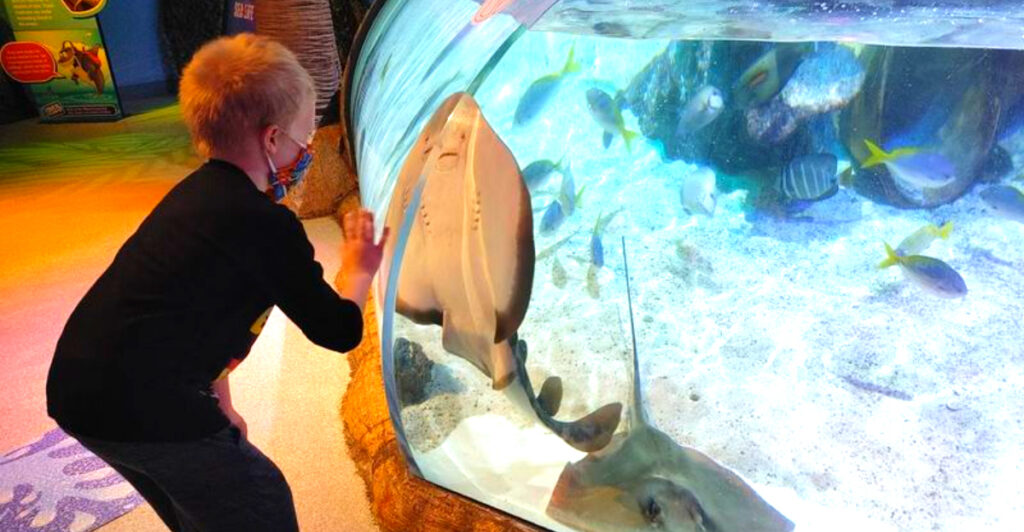 This Auburn Hills Destination Is a Rainy-Day Favorite for Families