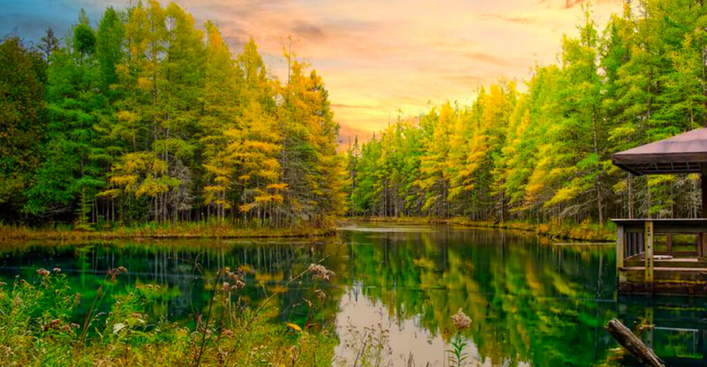 This Crystal-Clear Michigan Spring Pumps Out 10,000 Gallons a Minute