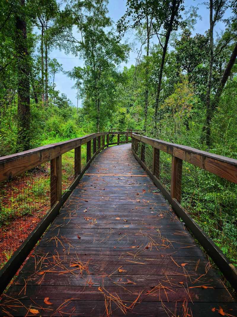 Trailhead Welcome Under the Pines