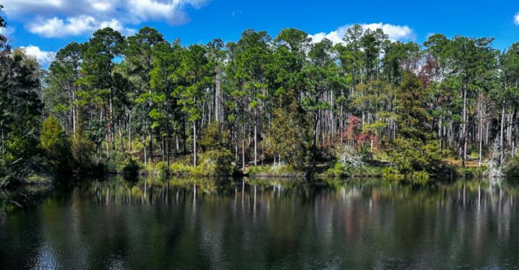 This Easy Paved Trail Leads Straight to a Secret Waterfall Paradise