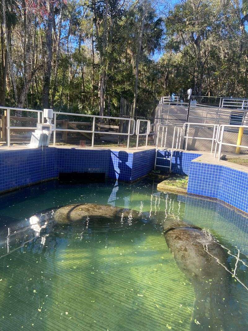 Fish Bowl Underwater Observatory