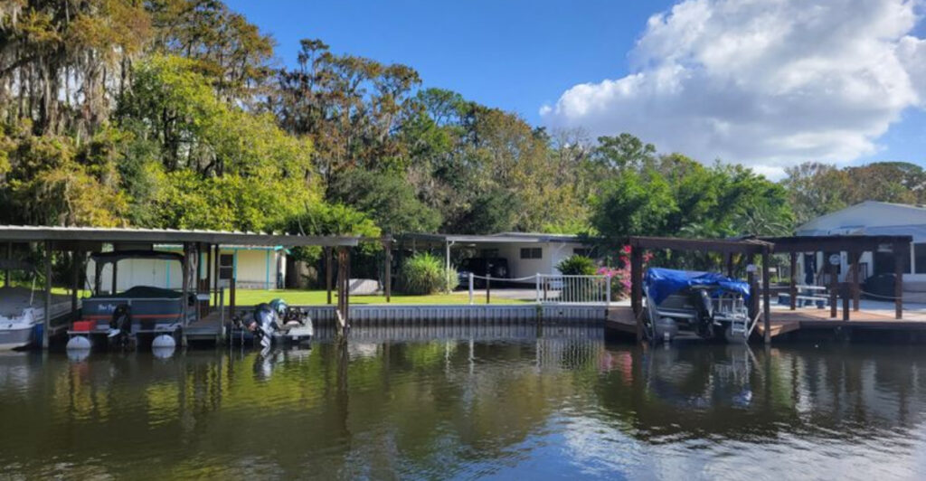 This Florida Boat Tour Takes You Past Ancient Cypress and Sunbathing Alligators