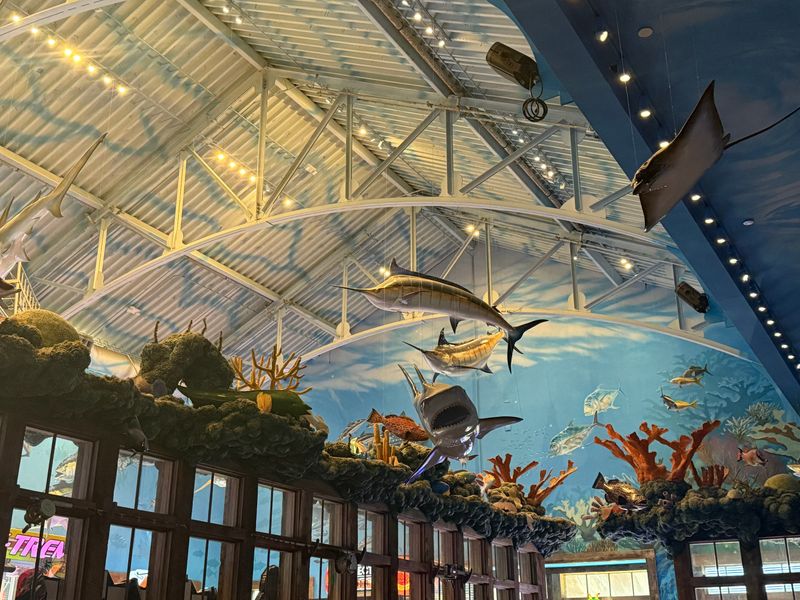 Aquarium Ambience That Feels Alive