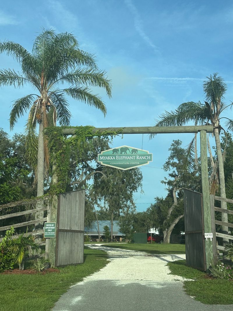 Arrival At The Ranch Gate