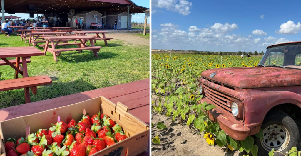 This Florida Farm Looks Like It Was Painted By Monet