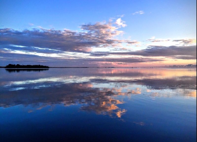 It’s 95% Water (Yes, Really)