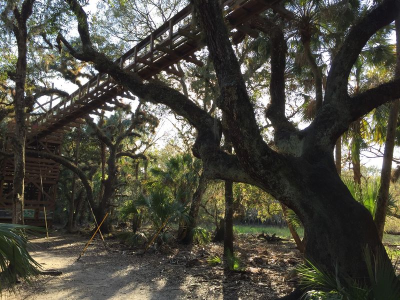 Canopy Walkway Entrance