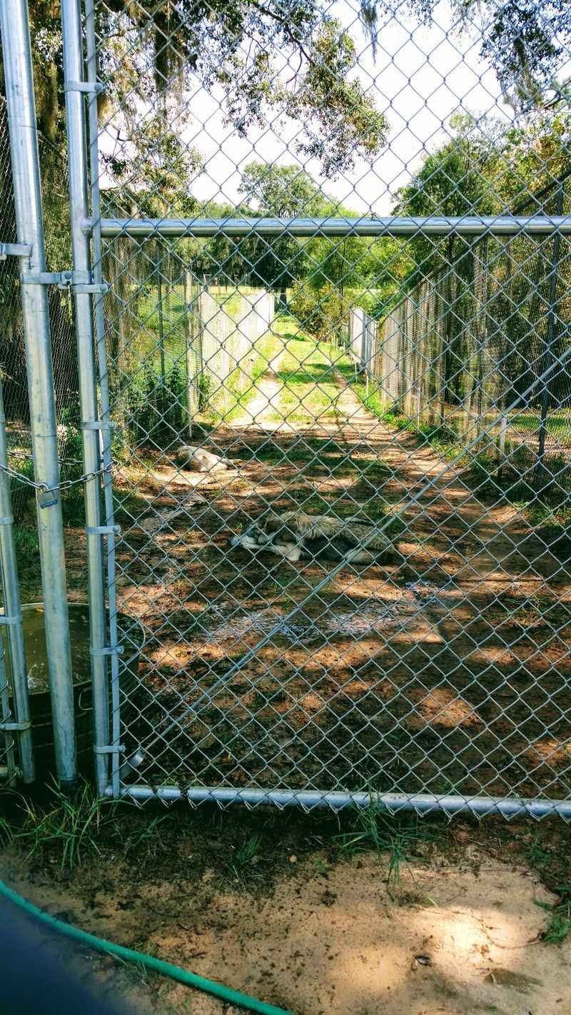 Front Gate First Impressions