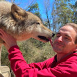 This Florida Preserve Lets Visitors Go Face-to-Face With Wolves