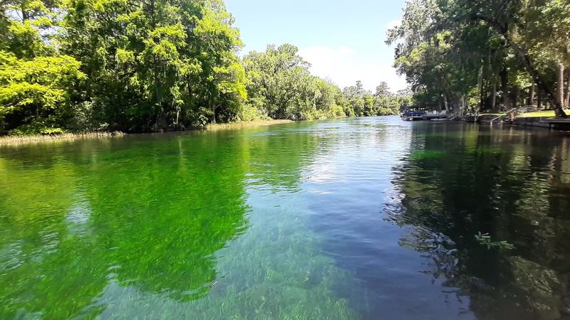 First Glimpse at KP Hole Park