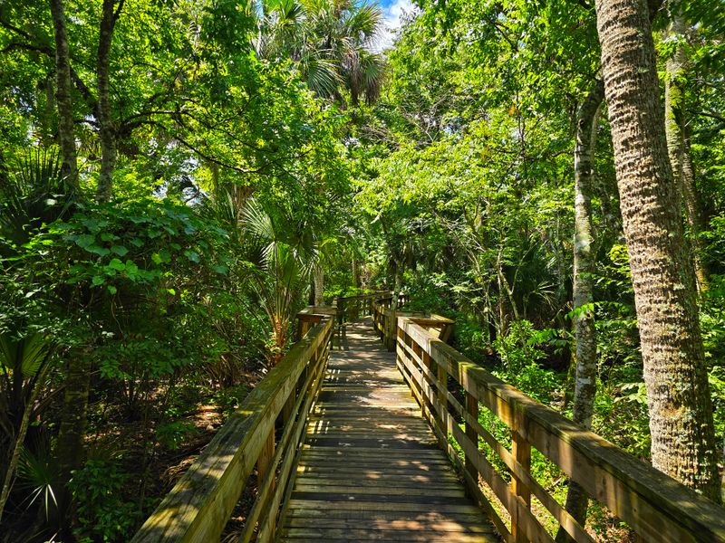 The 800-Foot Cypress Boardwalk