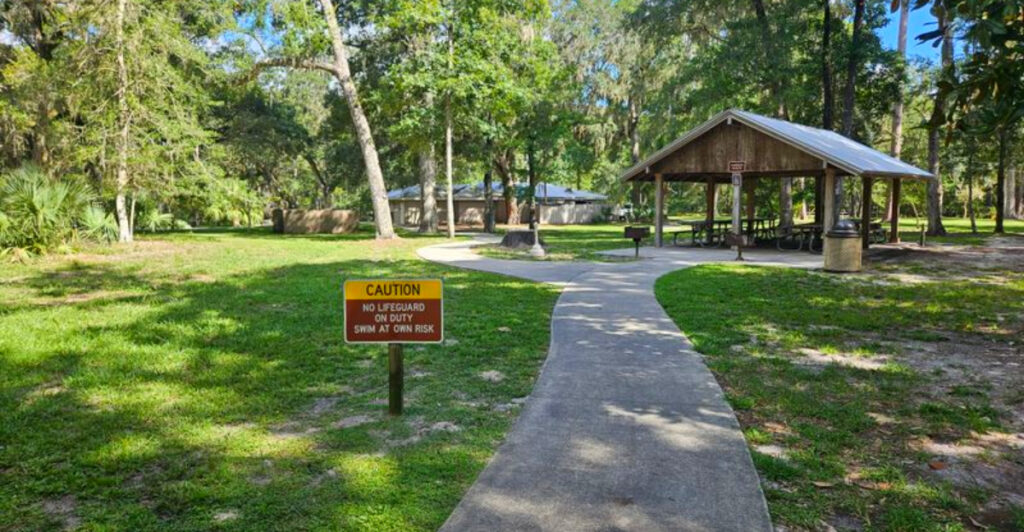 This Florida State Park Has an 800-Foot Boardwalk Leading to a Secluded Cypress Forest