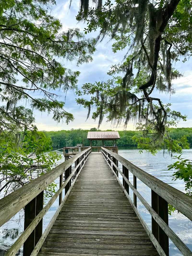 The 800-Foot Cypress Boardwalk