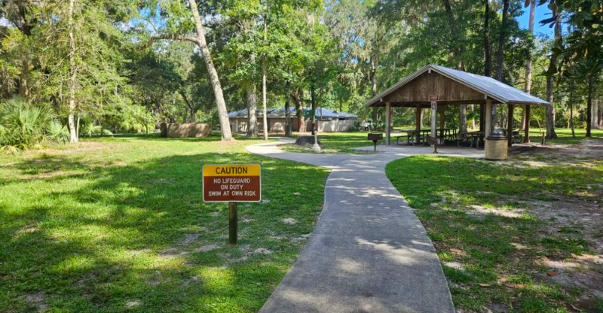 This Florida State Park Has an 800-Foot Boardwalk Leading to a Secluded Cypress Forest