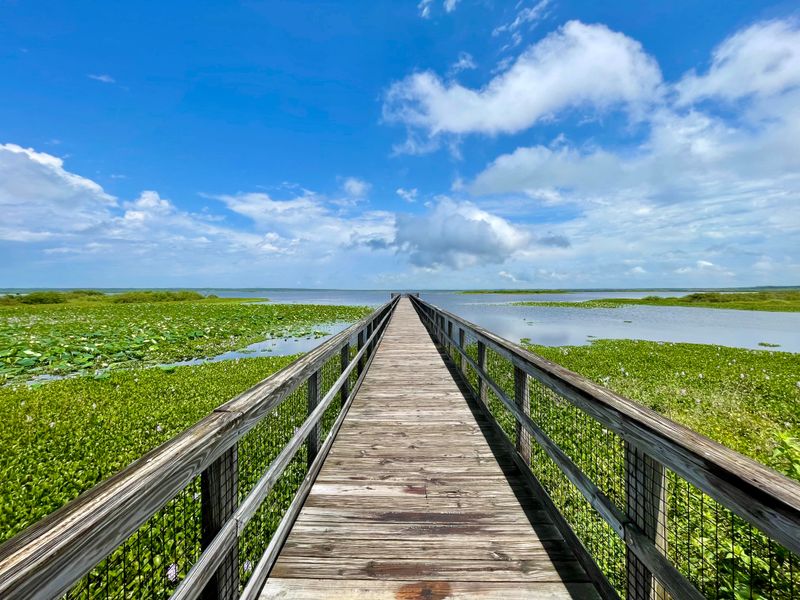 La Chua Trailhead Arrival