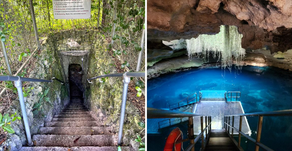 This Florida Underground River Adventure Feels Like Another World
