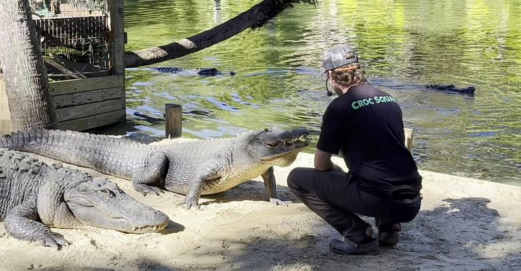This Florida Wildlife Experience Feels Like an African Safari From Your Driver’s Seat