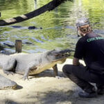 This Florida Wildlife Experience Feels Like an African Safari From Your Driver’s Seat