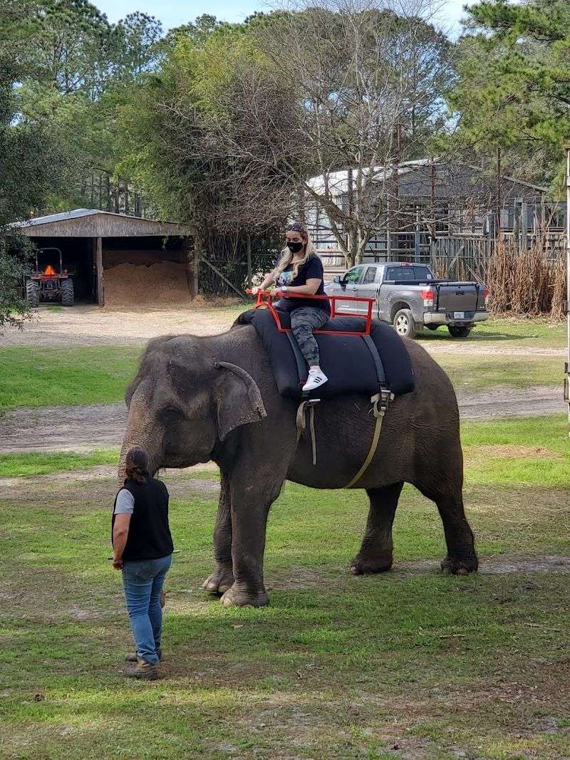 Where the Ranch Sits and How to Find It