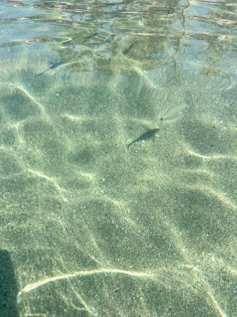 Where It All Starts: Address and Location