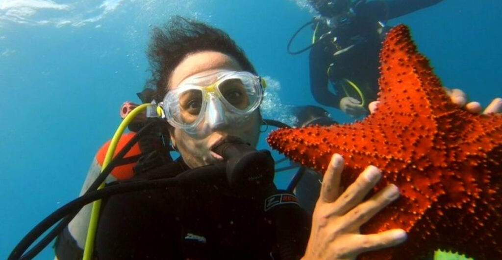 This Free Snorkel Trail In Palm Beach Is One Of America’s Best