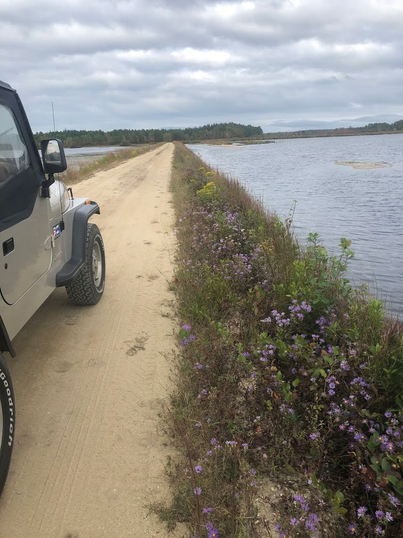 Where Exactly Whitesbog Is and How to Get There