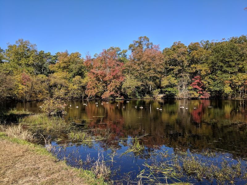 Where Exactly You Are Going and How to Find It