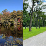 This Hidden New Jersey State Park Feels Like a Time Capsule You Can Walk Into