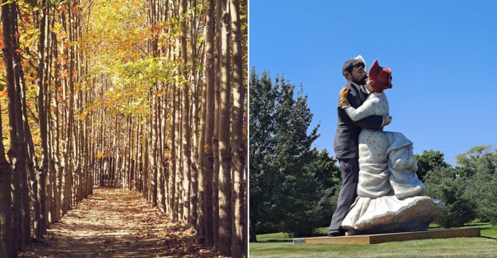 This Hidden Tree Tunnel in New Jersey Turns Every Stroll Into Pure Magic