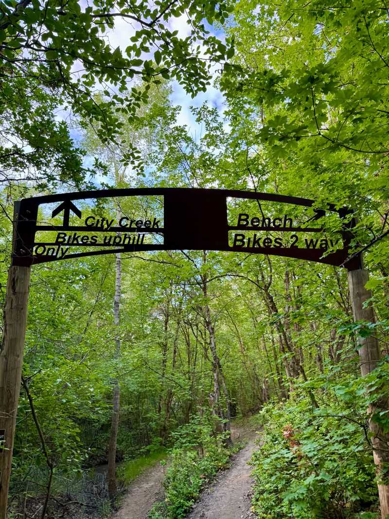 City Creek Trail System: Your Daily Dirt Therapy