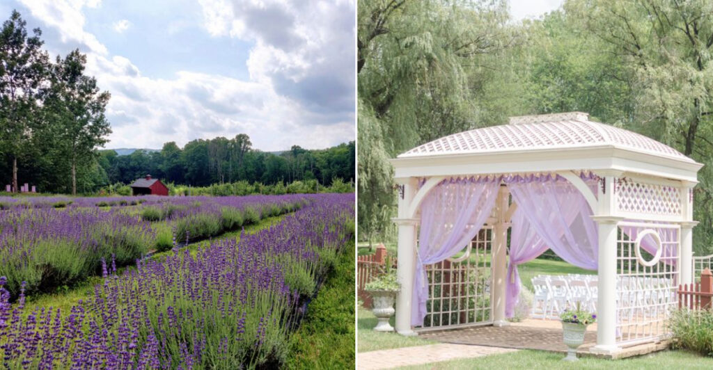 This Lavender Retreat in New Jersey Feels Like a Postcard From the French Countryside