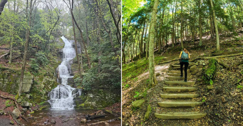 This Layton Hidden Waterfall Is New Jersey’s Untamed Beauty in Real Life